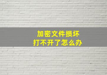 加密文件损坏打不开了怎么办