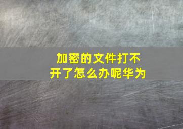 加密的文件打不开了怎么办呢华为