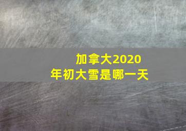 加拿大2020年初大雪是哪一天