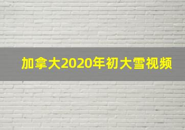 加拿大2020年初大雪视频