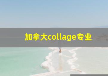 加拿大collage专业