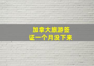 加拿大旅游签证一个月没下来