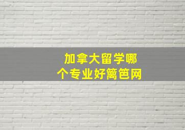 加拿大留学哪个专业好篱笆网