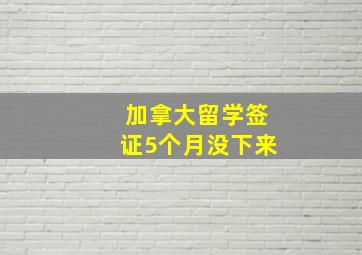 加拿大留学签证5个月没下来