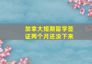 加拿大短期留学签证两个月还没下来