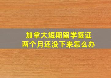 加拿大短期留学签证两个月还没下来怎么办