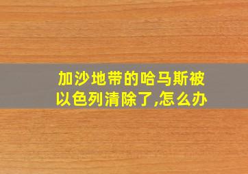 加沙地带的哈马斯被以色列清除了,怎么办