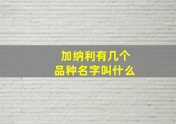 加纳利有几个品种名字叫什么