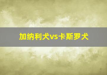 加纳利犬vs卡斯罗犬