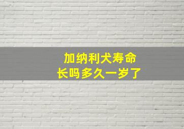 加纳利犬寿命长吗多久一岁了