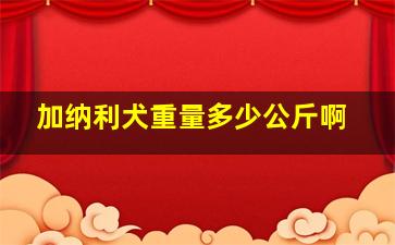 加纳利犬重量多少公斤啊