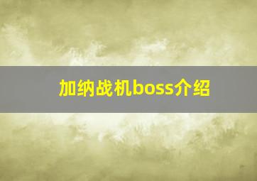 加纳战机boss介绍