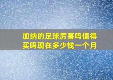 加纳的足球厉害吗值得买吗现在多少钱一个月