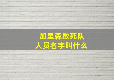 加里森敢死队人员名字叫什么