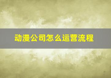 动漫公司怎么运营流程