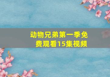 动物兄弟第一季免费观看15集视频