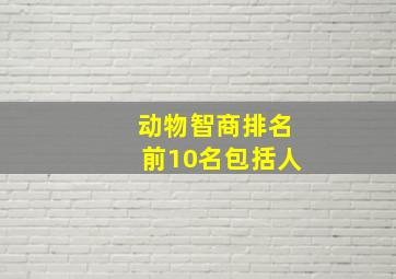 动物智商排名前10名包括人