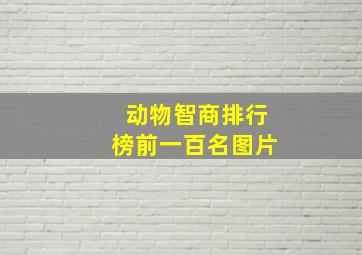 动物智商排行榜前一百名图片