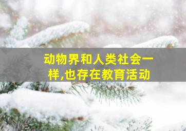 动物界和人类社会一样,也存在教育活动