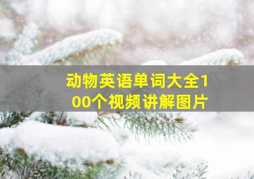 动物英语单词大全100个视频讲解图片