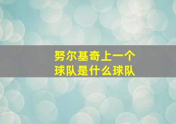 努尔基奇上一个球队是什么球队