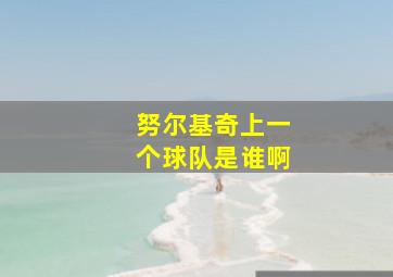 努尔基奇上一个球队是谁啊