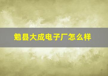 勉县大成电子厂怎么样