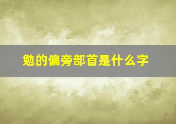 勉的偏旁部首是什么字