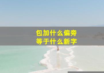 包加什么偏旁等于什么新字