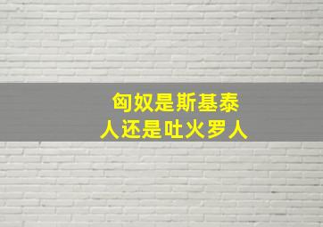 匈奴是斯基泰人还是吐火罗人