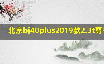 北京bj40plus2019款2.3t尊享版