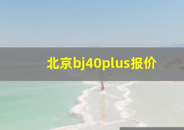 北京bj40plus报价