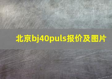 北京bj40puls报价及图片