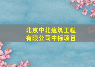 北京中北建筑工程有限公司中标项目