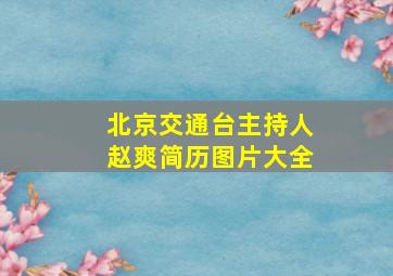 北京交通台主持人赵爽简历图片大全