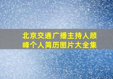 北京交通广播主持人顾峰个人简历图片大全集