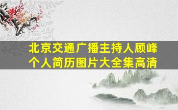 北京交通广播主持人顾峰个人简历图片大全集高清