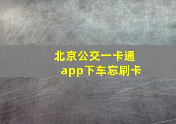 北京公交一卡通app下车忘刷卡