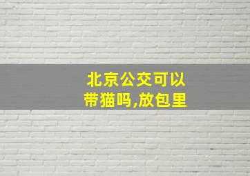 北京公交可以带猫吗,放包里