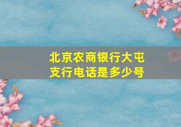 北京农商银行大屯支行电话是多少号