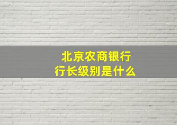 北京农商银行行长级别是什么