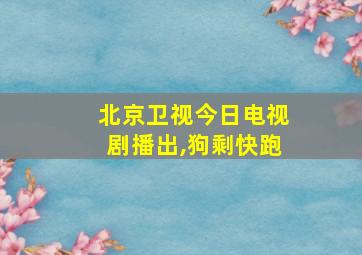 北京卫视今日电视剧播出,狗剩快跑