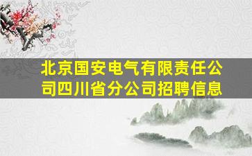 北京国安电气有限责任公司四川省分公司招聘信息