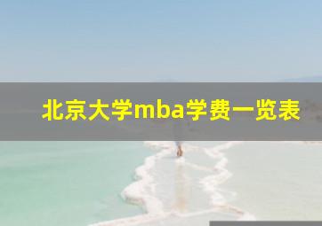 北京大学mba学费一览表