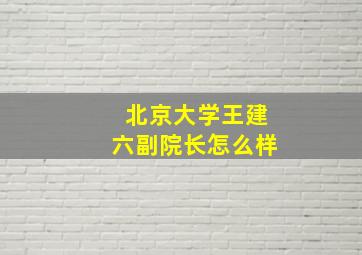 北京大学王建六副院长怎么样