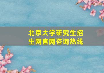 北京大学研究生招生网官网咨询热线