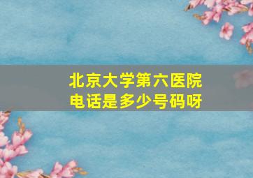 北京大学第六医院电话是多少号码呀