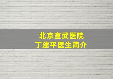 北京宣武医院丁建平医生简介