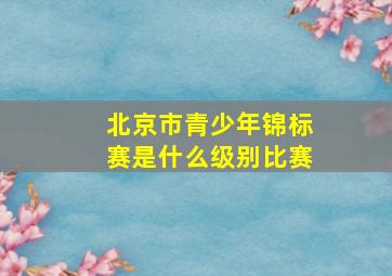 北京市青少年锦标赛是什么级别比赛