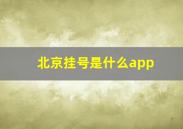 北京挂号是什么app